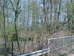 Standort Wiedabrücke