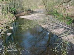 Flussbett der Wieda