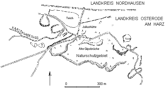ergänzende Zeichnung