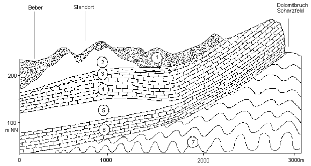 ergänzende Zeichnung