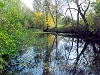 Salzaspring