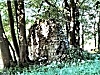 Kirchenruine