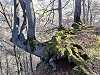 Mühlberg