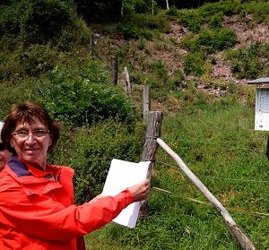 Dr. Sigrid Vogel